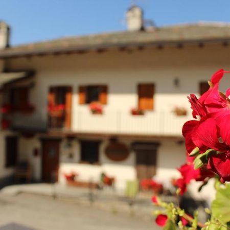 Agriturismo Au Jardin Fleuri Анте-Сент-Андре Екстер'єр фото