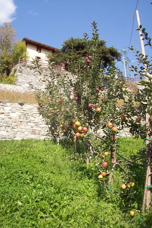 Agriturismo Au Jardin Fleuri Анте-Сент-Андре Екстер'єр фото